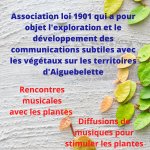 VÉGÉTALsens